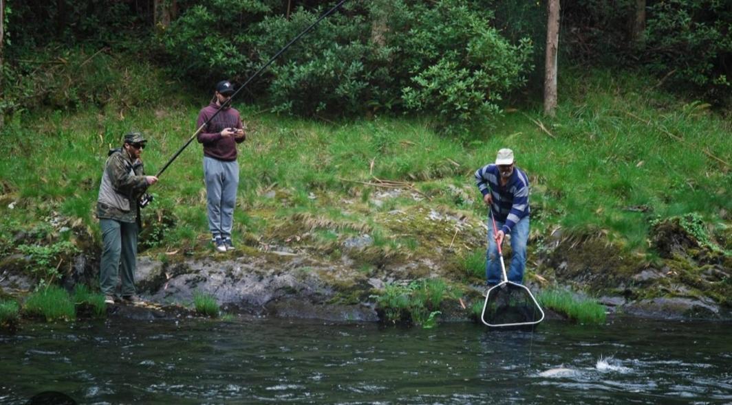 La Salmonera Cangas De Onis Caño Kültér fotó