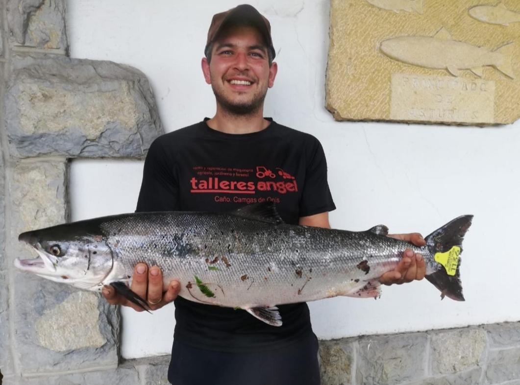 La Salmonera Cangas De Onis Caño Kültér fotó